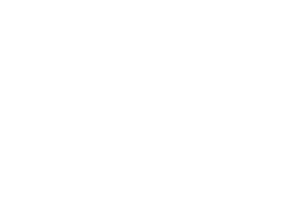 opportune logo